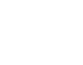 Portal Icon